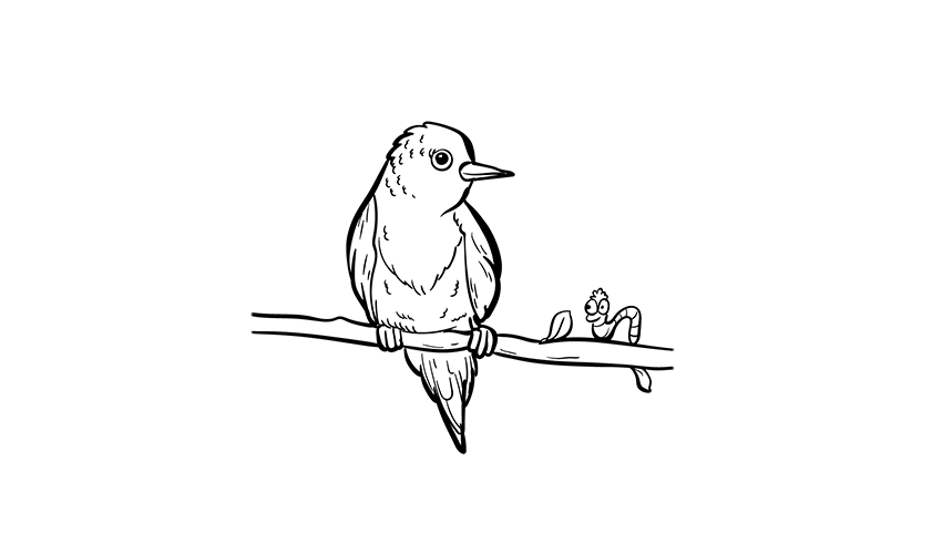 birds coloring pages