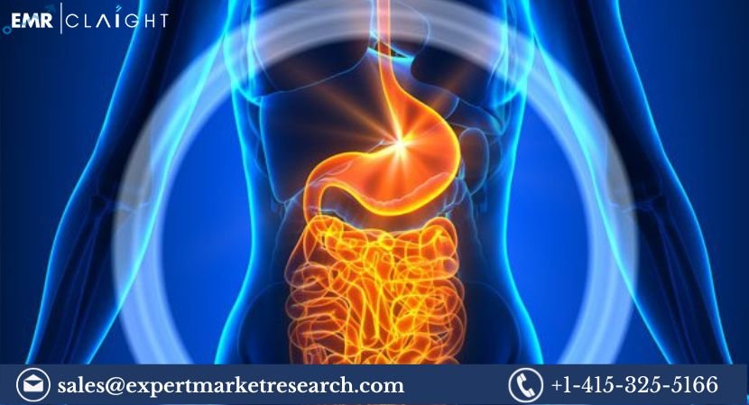 Gastroenterology Market