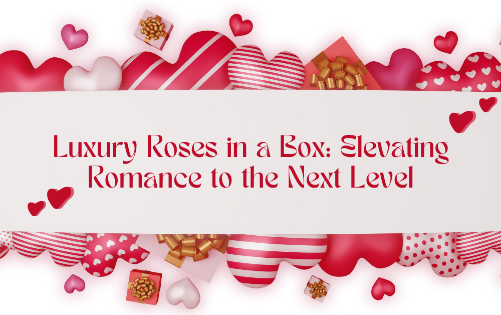 Luxury Roses in a Box: Elevating Romance to the Next Level