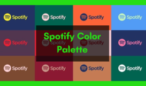 Read more about the article Spotify Color Palette: How to Create And Share?
