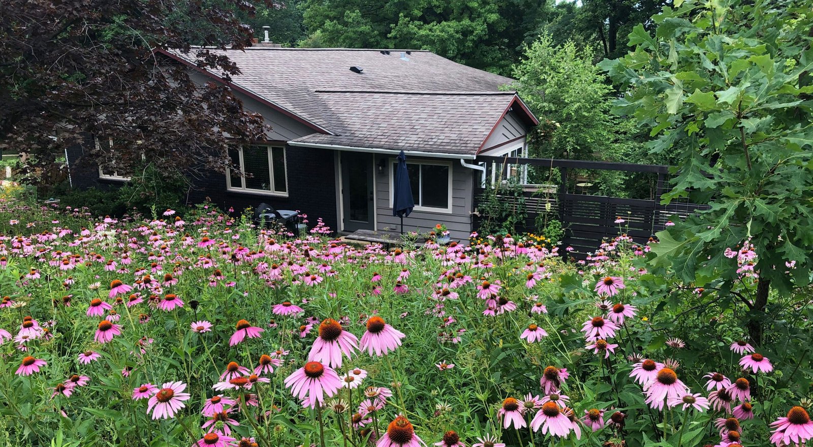 Transforming Your Yard: A Seasonal Guide to Year-Round Beauty