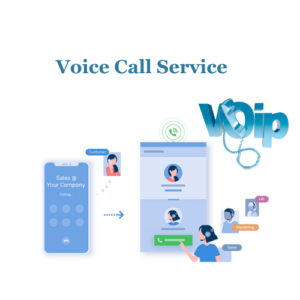 Read more about the article Bulk Voice Call Service for Marketing Campaign