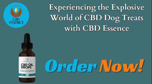 cbd dog treats