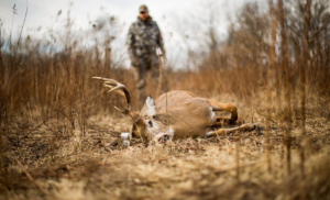 Read more about the article Unleashing Adventure The Hutch On Hunting Mission: