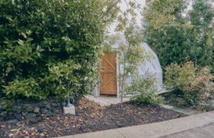Read more about the article From Tools to Tranquility: Unveiling the Best Garden Sheds in Canada