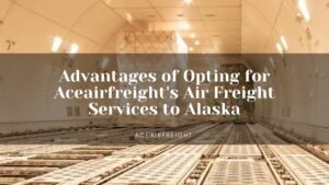 Read more about the article Advantages of Opting for Aceairfreight’s Air Freight Services to Alaska