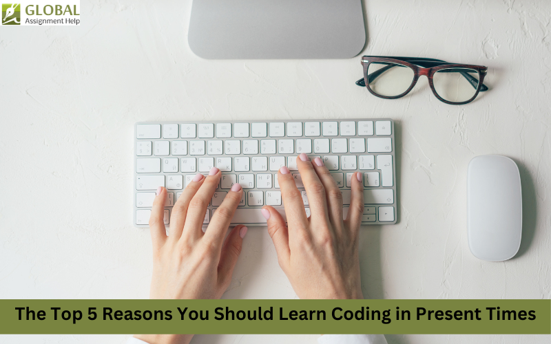 The Top 5 Reasons You Should Learn Coding in Present Times.