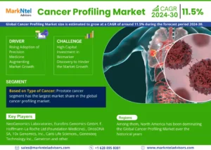 Read more about the article Cancer Profiling Market to Witness 11.5% CAGR Boom Through 2024-30 – Latest MarkNtel Advisors Report