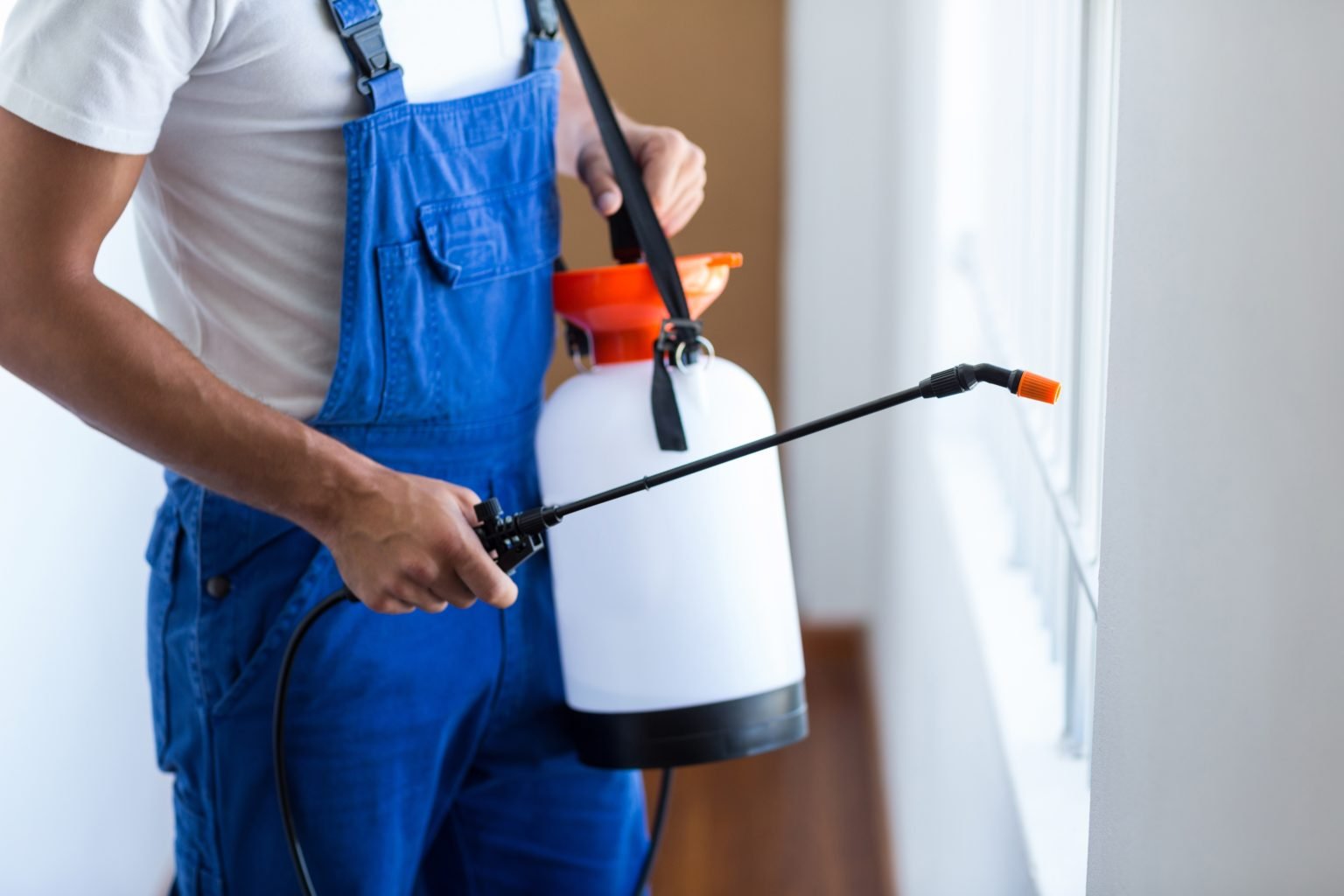 Effective Pest Control Hamilton Ontario