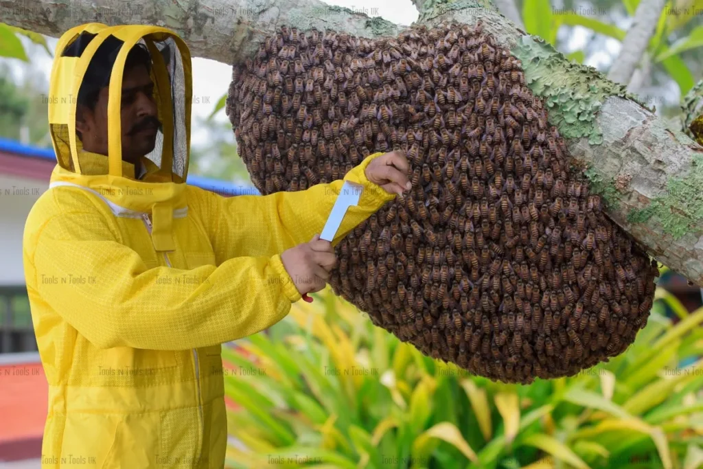 Bee Suit